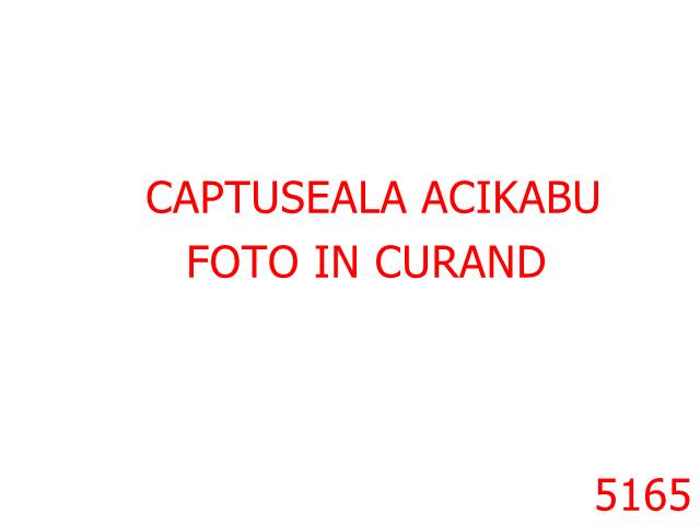 Captuseala - 5165/Captuseala  Acikabu-1-M-sintetic--negru-----