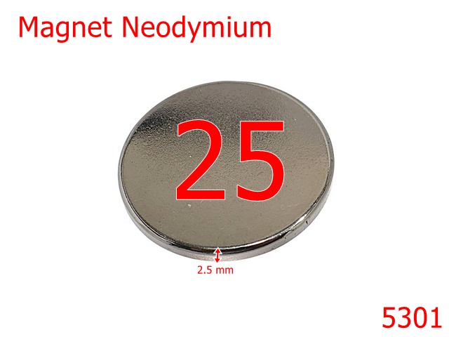 Magneti - 5301/Magnet Ascuns Rotund Pentru Marochinarie-25-mm-neodymium-2.5-9A7
