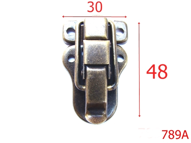 Inchizatori servieta - 789A/INCHIZATOR-30x48-mm---antic---12A9-12D3-H29